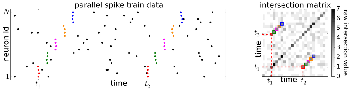 Analysis methods for massively parallel neuronal data