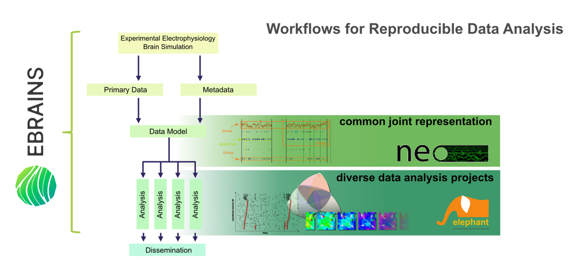 Standardisation of complex analysis processes across models and experiments