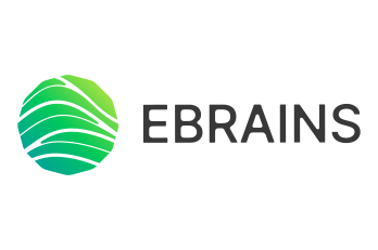 Simulate with EBRAINS