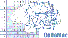CoCoMac