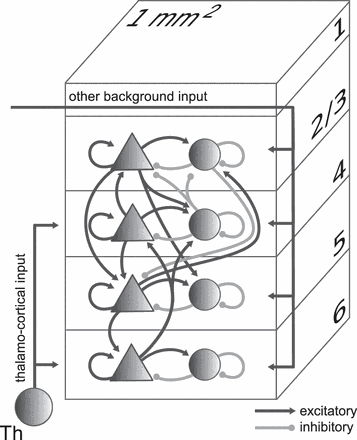 Microcircuit_Model.poster.gif