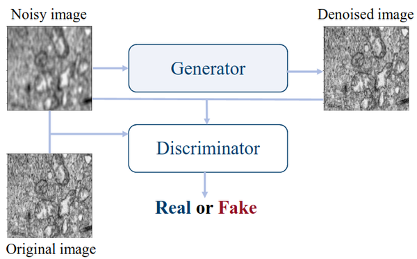 Self Supervised Learning of Electron Microscopy Images