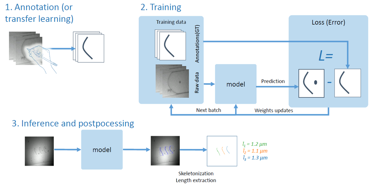 Instance Segmentation of Dislocations in TEM Images