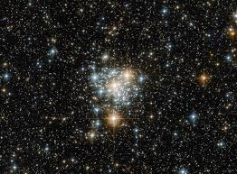 Young cluster development