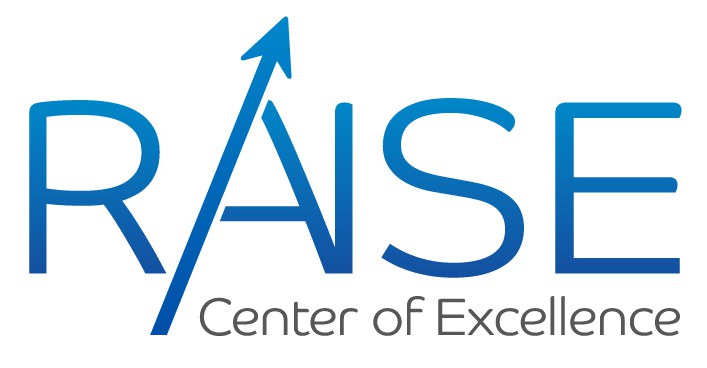 CoE RAISE - European Center of Excellence in Exascale Computing "Research on AI- and Simulation-Based Engineering at Exascale"