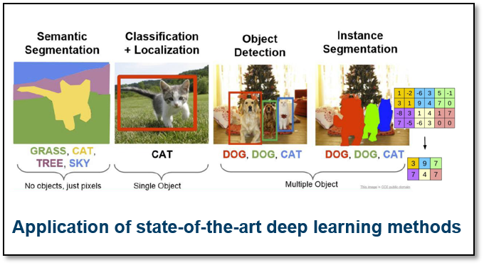 deeprain-ai.poster.png
