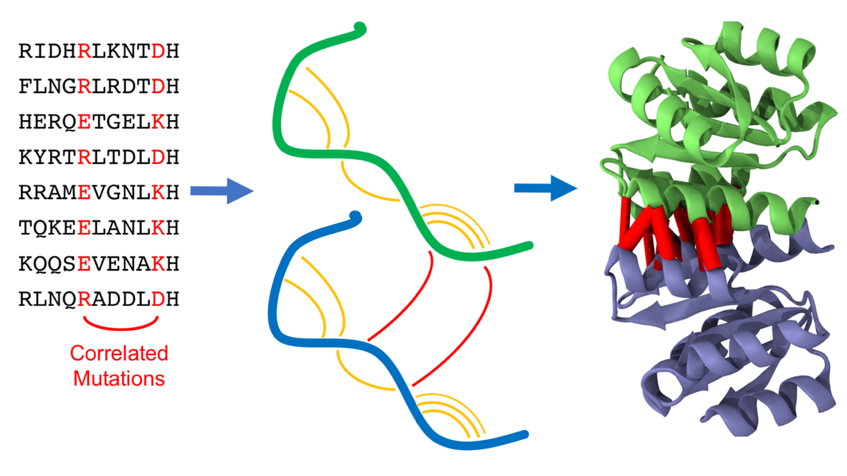 HPC simulation predicting the structure of a homodimer
