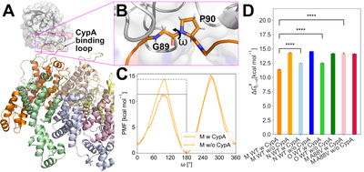 PNAS_Gohlke.png