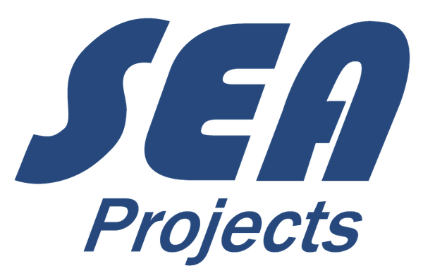 The SEA Projects: Three-Year Effort for European Exascale Supercomputing