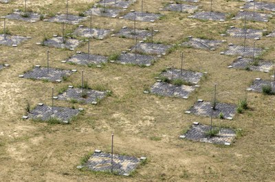 lofar_low_band-antenna.normal.jpeg