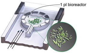 Graphic of 1 pl bioreactor