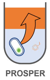 Prof. Nick Wierckx receives Consolidator Grant of the European Research Council (ERC)