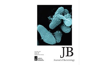 Cover of Baumgart et al., 2016