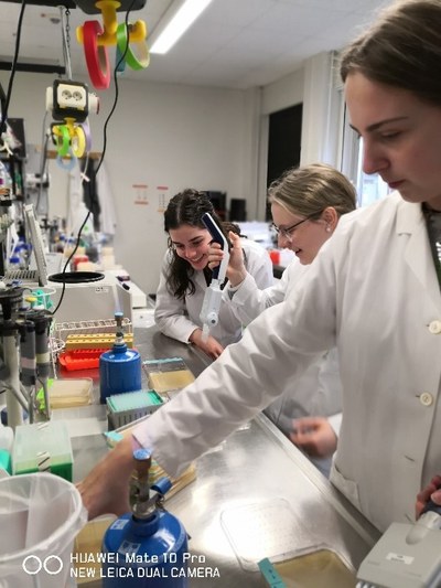 2020 School project going viral