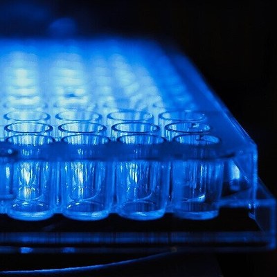 Image of Transcription factor-based biosensors & evolutionary engineering