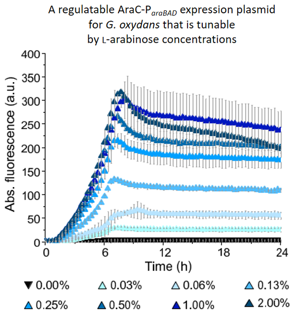 Graphic regulatable expression plasmid