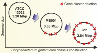 Graphic Microbial cell factories