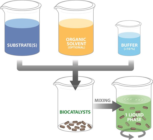 Micro-aqueous reaction system