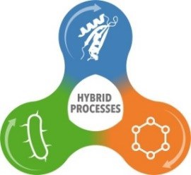 Hybrid Processes