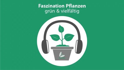 Podcast: Faszination Pflanzen - grün und vielfältig