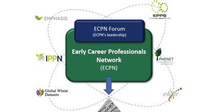 Call for Participation: Shape the Future of Plant Phenomics – Join the Early Career Professionals Network's Forum!