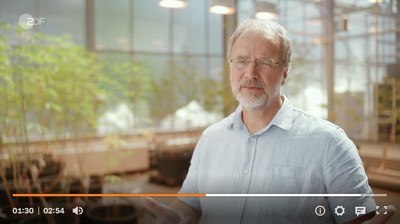 ZDF-report: Protecting plants with gene technology!