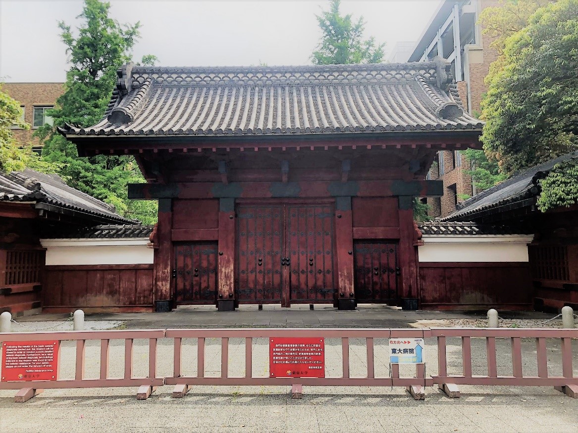 6 months in Japan – science between shrines and skyscrapers