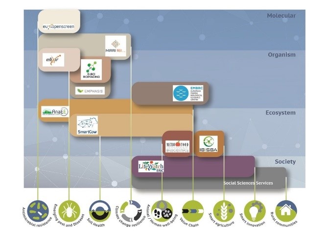 Integrated SERvices supporting a sustainable AGROecological transition (AgroServ)