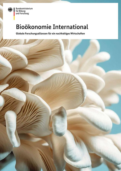 New brochure BMBF Bioeconomy International- with cassava research from IBG-2