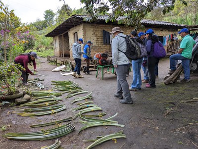 PinaFibre project workshop