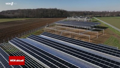 WDR Aktuell: Strom vom Feld gegen CO2-Rekordwerte?