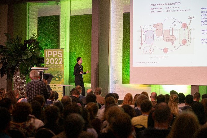 Wrap-Up IPPS 2022