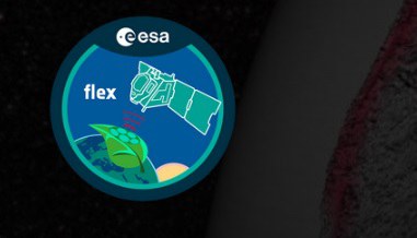 1. FLEX User Workshop