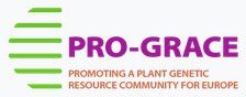 PRO-GRACE-EMPHASIS policy symposium and Workshop