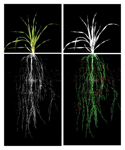 Jülich Plant Phenotyping Center 2