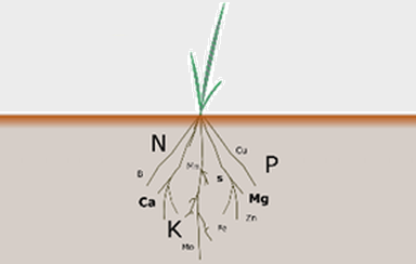 Trait Discovery