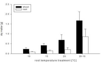 Testing the influence of root temperature on plant growth and food quality of horticulture crops