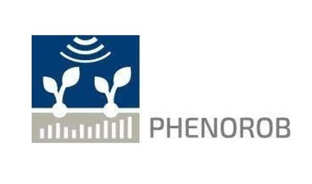 Plant Sciences (IBG-2)