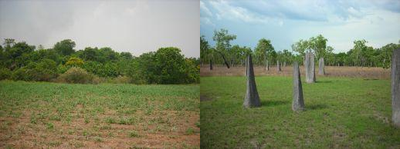 Plant-Soil-Atmosphere Exchange Processes