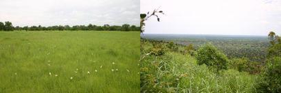 Plant-Soil-Atmosphere Exchange Processes