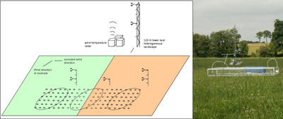 Links between local scale and catchment scale measurements and modeling of gas exchange processes over land surfaces