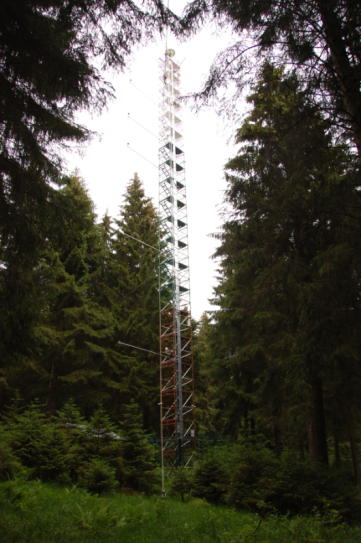 Forest site Wüstebach