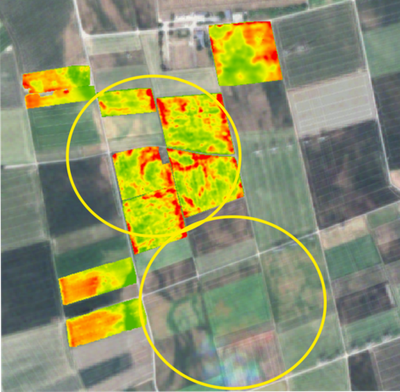 Hydrogeophysical Imaging and Characterisation