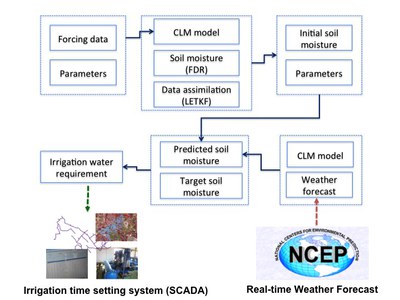 Real-time optimization of irrigation of citrus fields near Valencia (Spain)