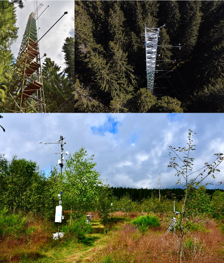 Wüstebach forest station