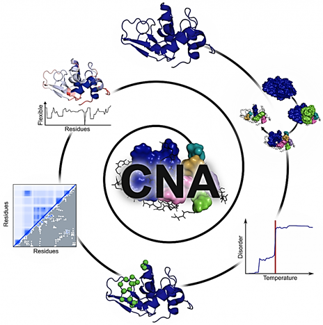 Constraint Network Analysis (CNA)