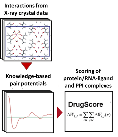 DrugScore PPI