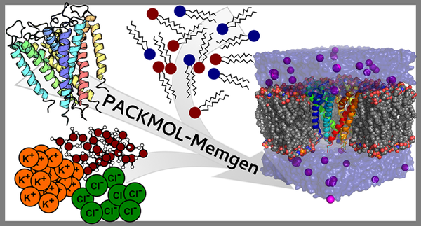 PACKMOL-memgen