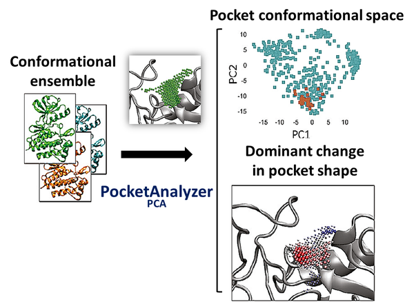 PocketAnalyzerPCA