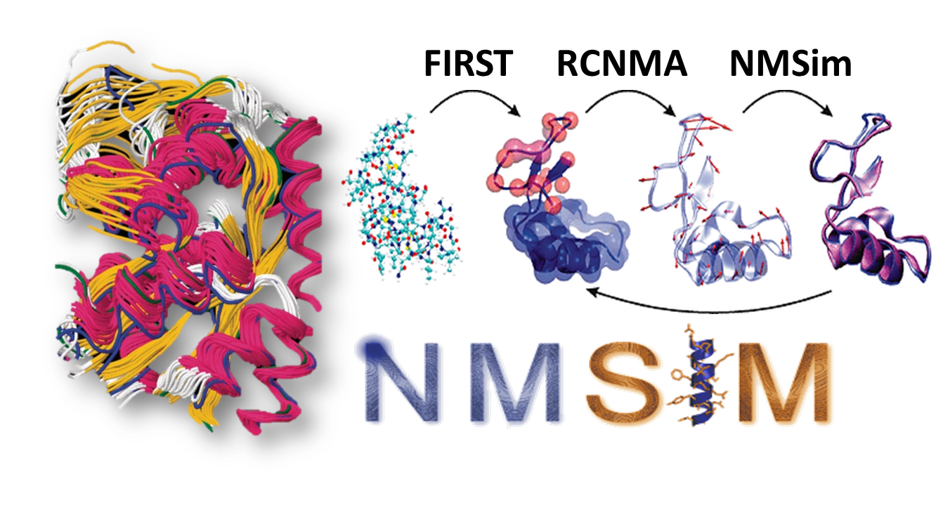 RCMNA/NMSim
